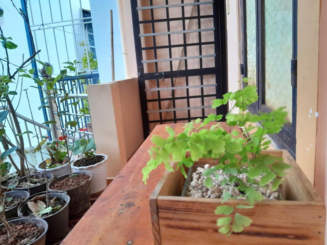 Thuy An Homestay 달랏 외부 사진