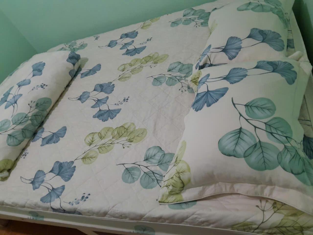 Thuy An Homestay 달랏 외부 사진